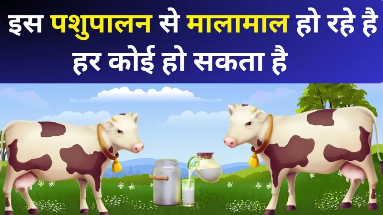 Business Ideas : इस दुधारू पशुपालन से, हर महीने कमा सकते मोटे पैसे, गांव वाले भी करते हैं इस बिजनेस को