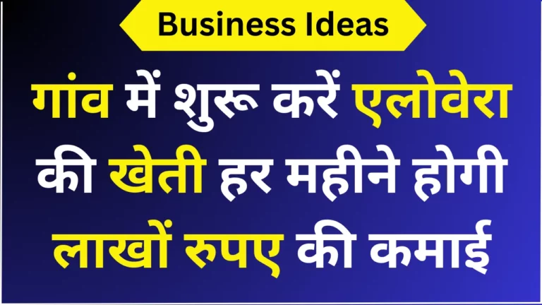 गांव में शुरू करें एलोवेरा की खेती हर महीने होगी लाखों रुपए की कमाई